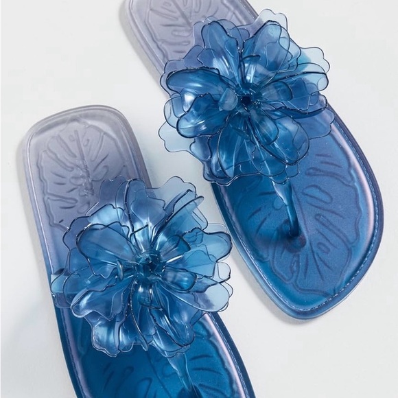 FARM Rio Shoes - FARM Rio Blue Floral Jelly Toe-Post Sandals